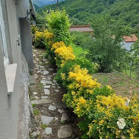 Il Non Ti Scordar Di Me