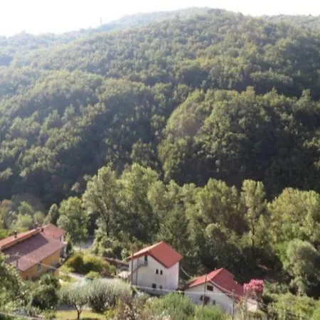 Il Non Ti Scordar Di Me