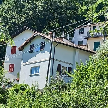 Il Non Ti Scordar Di Me Valbravenna