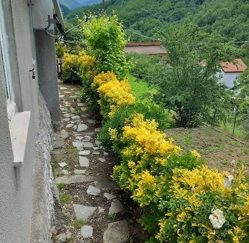 Il Non Ti Scordar Di Me