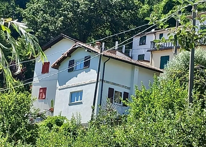 Il Non Ti Scordar Di Me Valbravenna